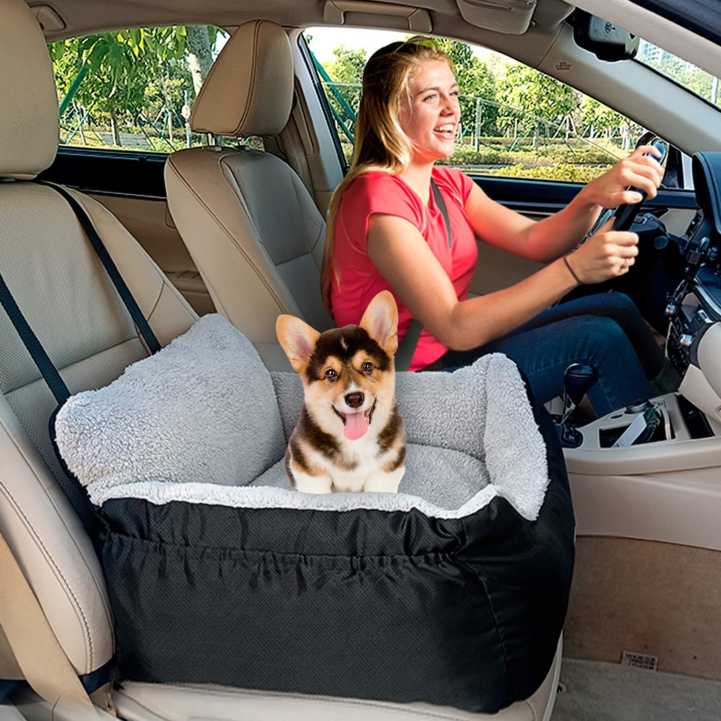BurgeonNest Portable Dog Car Bed with Storage Pockets